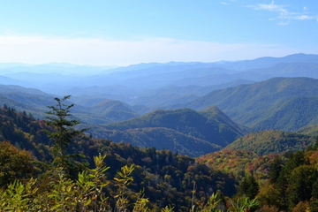 From Mountains to Marshes: Why Georgia Is Perfect for Every Adventure