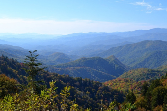 From Mountains to Marshes: Why Georgia Is Perfect for Every Adventure