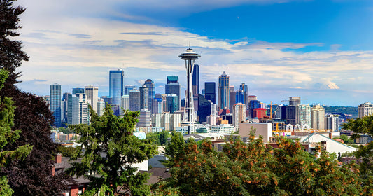 a view of the seattle skyline