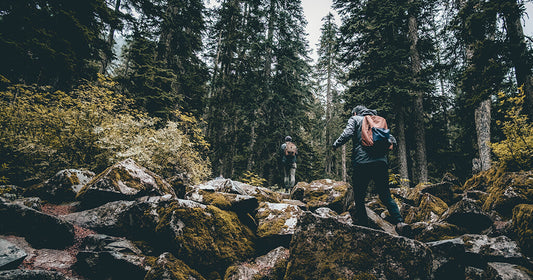 people hiking in washington